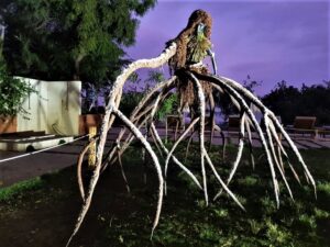 crédit photo océanium dakar