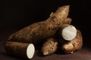disposition-des-racines-de-manioc-nutritives